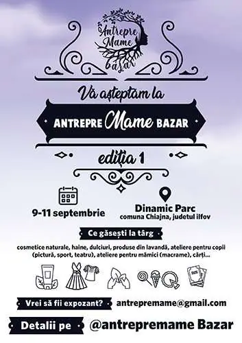 AntrepreMAME Bazar – Ediția I. Concluzii La Final De Proiect Pilot – imaginea 58