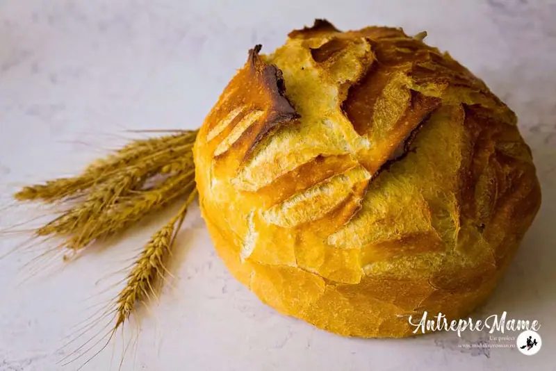 Pâinea negrăbită din Poiana Melcului – imaginea 4